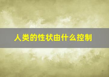 人类的性状由什么控制