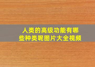 人类的高级功能有哪些种类呢图片大全视频