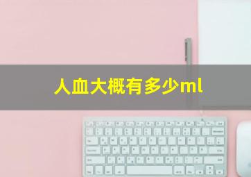 人血大概有多少ml