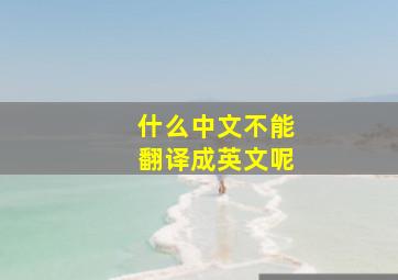 什么中文不能翻译成英文呢