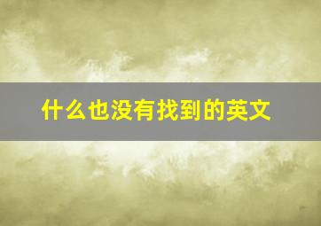 什么也没有找到的英文