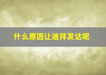 什么原因让迪拜发达呢