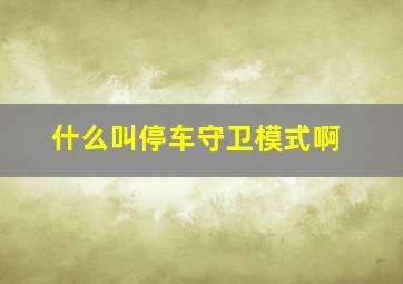 什么叫停车守卫模式啊