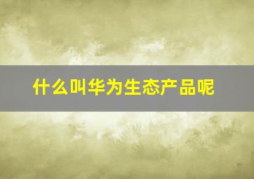 什么叫华为生态产品呢