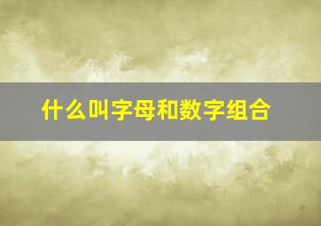 什么叫字母和数字组合