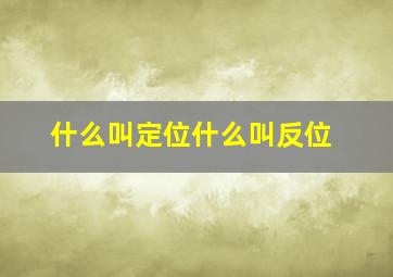 什么叫定位什么叫反位