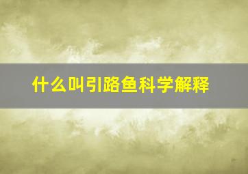 什么叫引路鱼科学解释