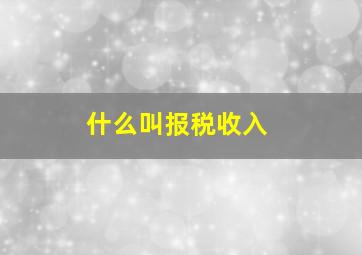 什么叫报税收入