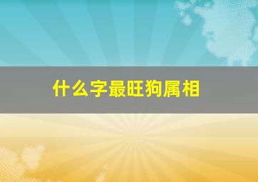 什么字最旺狗属相