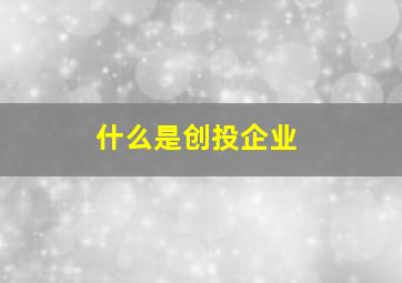 什么是创投企业