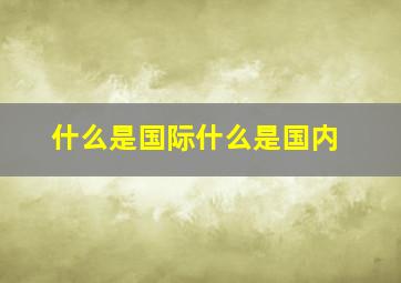 什么是国际什么是国内