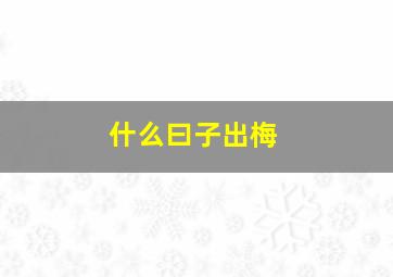 什么曰子出梅