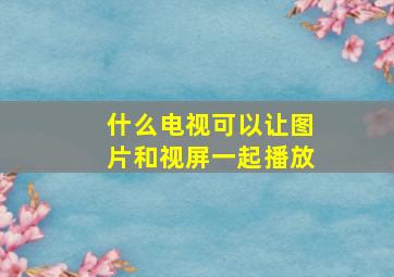 什么电视可以让图片和视屏一起播放