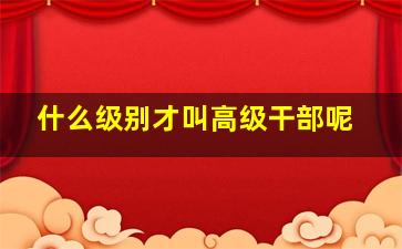 什么级别才叫高级干部呢