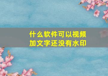 什么软件可以视频加文字还没有水印