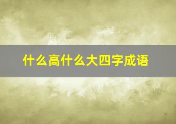 什么高什么大四字成语