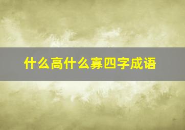 什么高什么寡四字成语