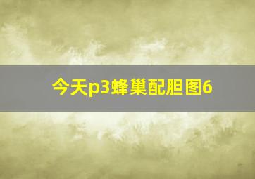 今天p3蜂巢配胆图6