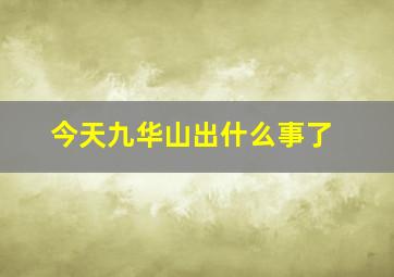 今天九华山出什么事了