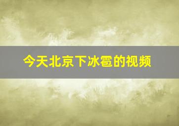 今天北京下冰雹的视频