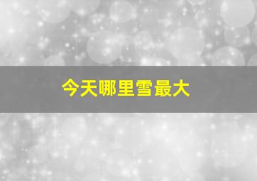 今天哪里雪最大