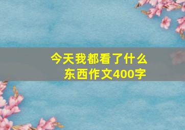 今天我都看了什么东西作文400字