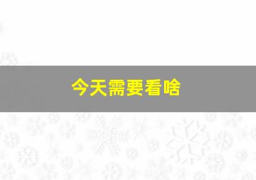 今天需要看啥