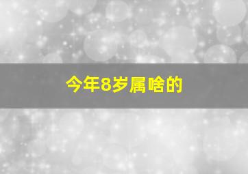 今年8岁属啥的