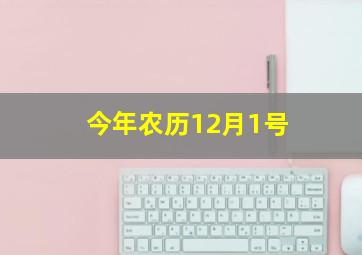 今年农历12月1号