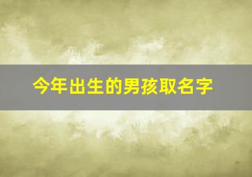 今年出生的男孩取名字