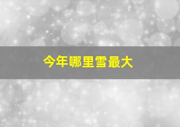 今年哪里雪最大