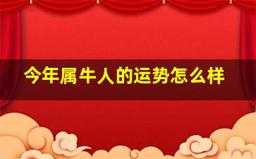 今年属牛人的运势怎么样