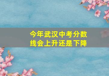 今年武汉中考分数线会上升还是下降