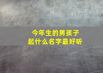 今年生的男孩子起什么名字最好听