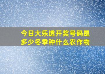 今日大乐透开奖号码是多少冬季种什么农作物