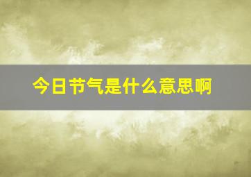 今日节气是什么意思啊