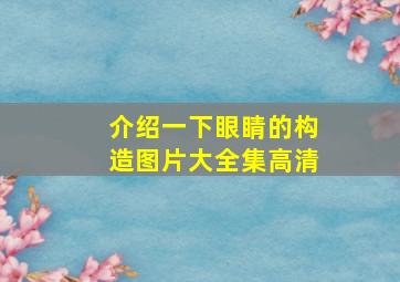 介绍一下眼睛的构造图片大全集高清