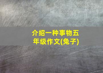 介绍一种事物五年级作文(兔子)