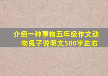 介绍一种事物五年级作文动物兔子说明文500字左右