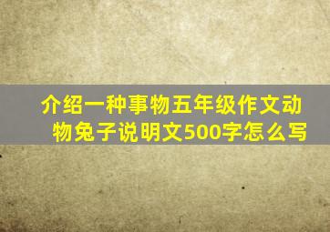 介绍一种事物五年级作文动物兔子说明文500字怎么写