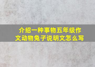 介绍一种事物五年级作文动物兔子说明文怎么写