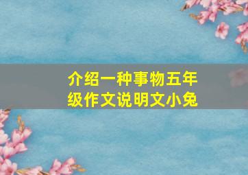 介绍一种事物五年级作文说明文小兔