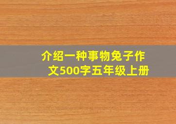 介绍一种事物兔子作文500字五年级上册