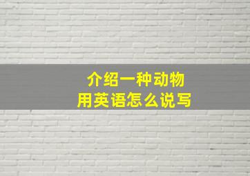 介绍一种动物用英语怎么说写