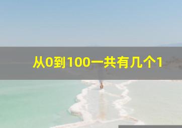 从0到100一共有几个1