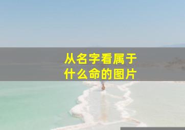 从名字看属于什么命的图片