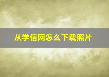 从学信网怎么下载照片