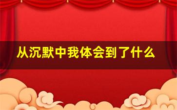 从沉默中我体会到了什么