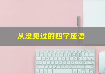 从没见过的四字成语