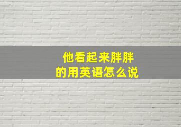 他看起来胖胖的用英语怎么说